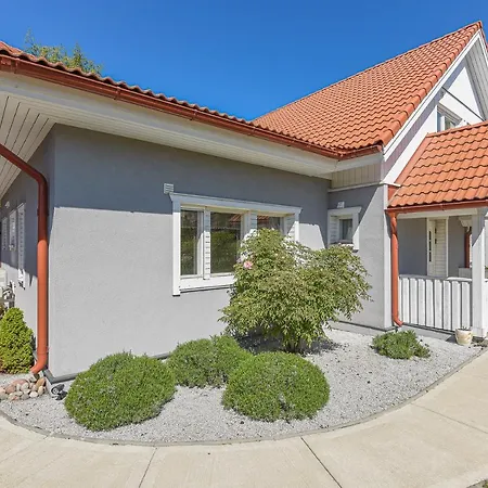 Geltondvaris Palanga