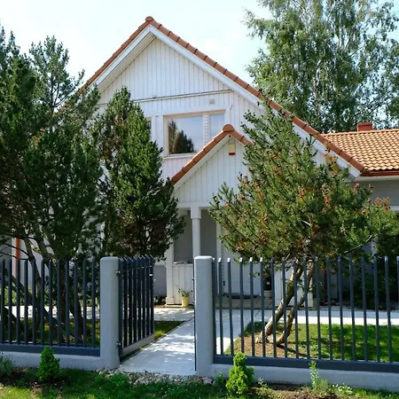 Geltondvaris Palanga
