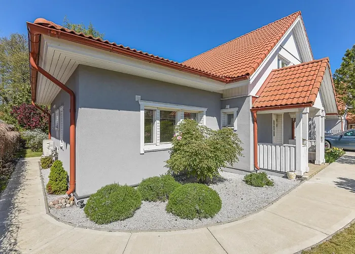 Geltondvaris פלאנגה