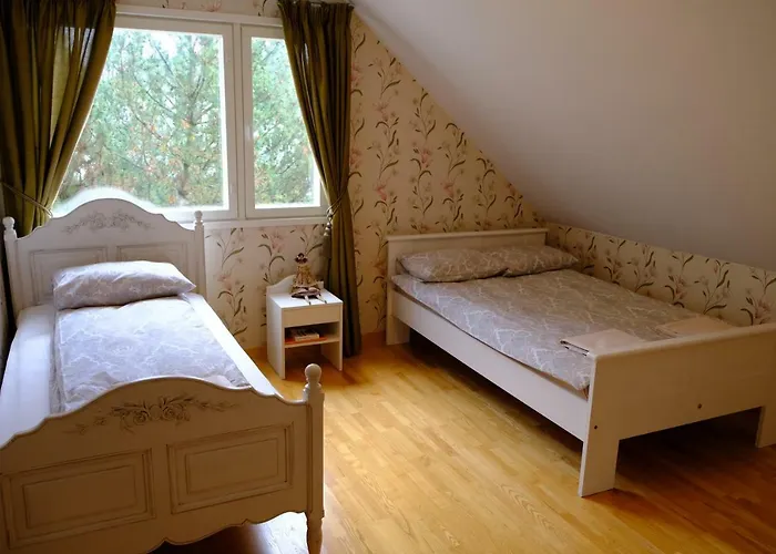 Geltondvaris * Palanga