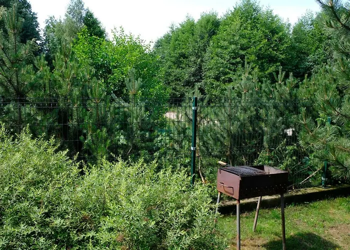 Geltondvaris * פלאנגה